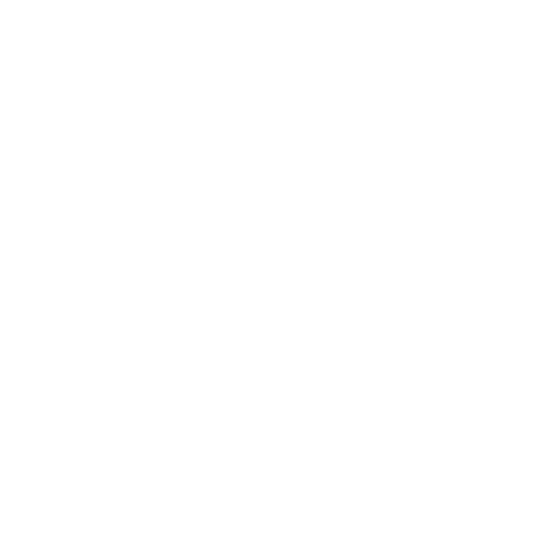 Older people Service