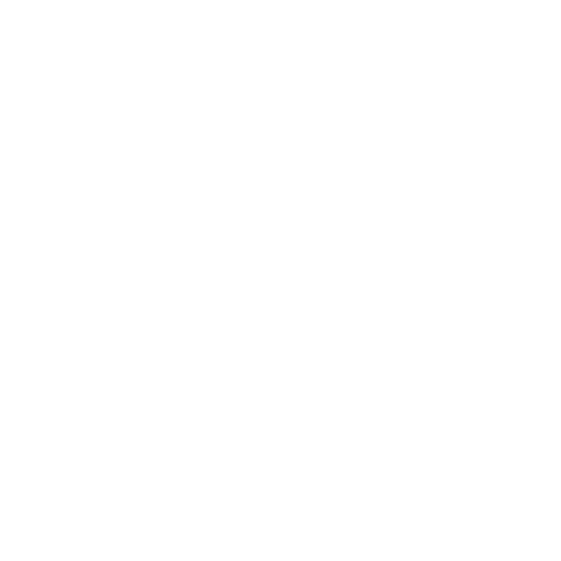 Neurodiversity Service